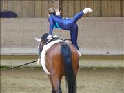 voltitag 2009 _CD1 103